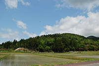 田んぼと里山が広がる場所で空と山並みを写した風景の写真