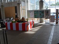 紅白の布が敷かれた机の上に立体作品が展示されその奥にホワイトボードが並んでいる展示風景の写真