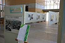 たくさんの写真が貼られているホワイトボードが並んでいる展示風景の写真