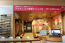 壁に様々な写真や資料が貼られた展示室の全体の写真