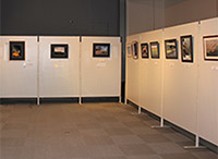 ホワイトボードに小さな写真が展示されている様子の写真