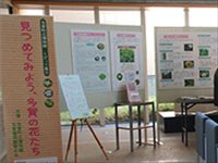 会場内に設置された掲示板やイーゼルで情報発信を行っている展示スペースの写真