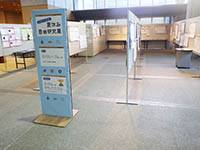 水色の案内板と自由研究作品が貼られたパーテーションが並んでいる写真