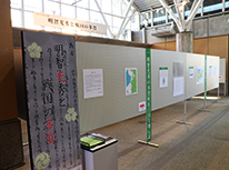 パーテーションに明智光秀に関する様々な展示物が貼られている写真