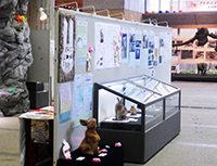 展示会場に写真パネルと展示ケースが設置されている様子の写真