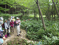 林の中に赤色と白色の縞模様の長い棒を伸ばしている男性の写真