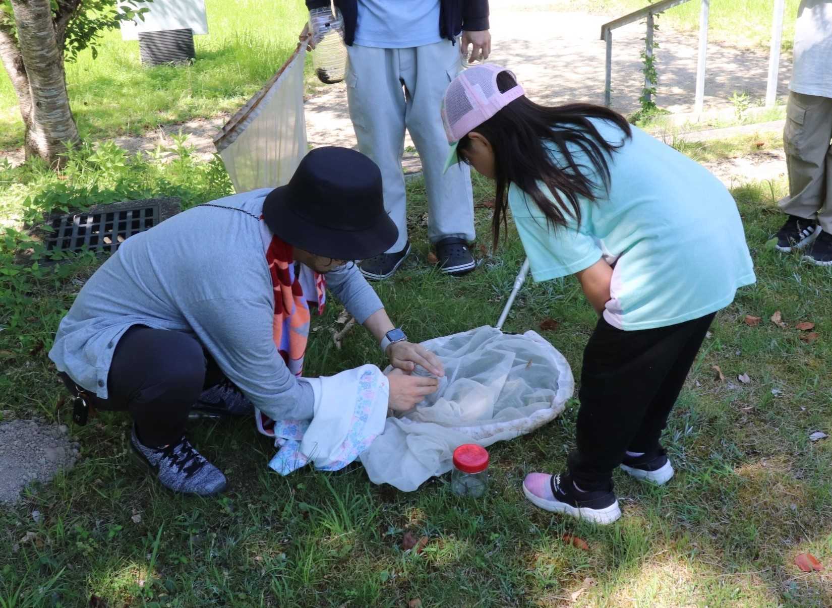 草むらの上でしゃがみ虫取り網を広げる女性とその様子をのぞき込む女の子の写真