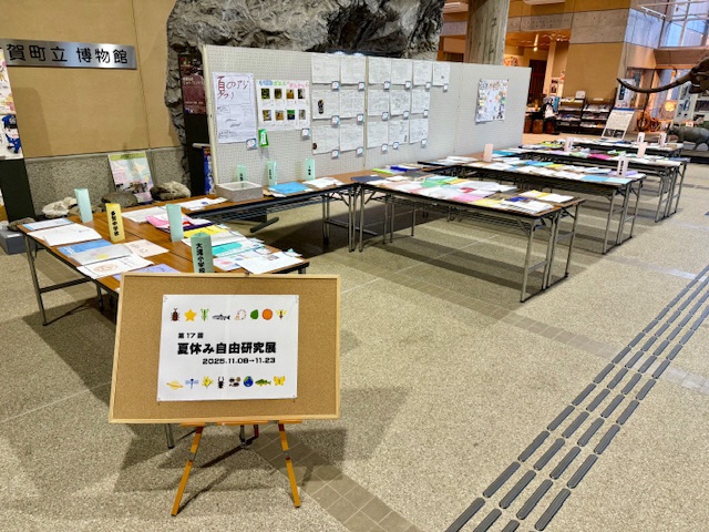 たくさんの夏休みの自由研究が机の上やホワイトボード上に展示されている様子の写真