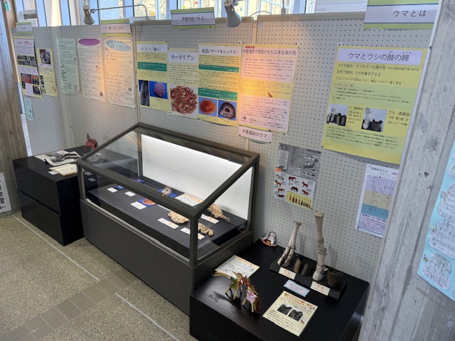 ホワイトボードに様々な資料が貼られその下にショーケースの展示が設置されている様子の写真