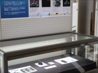 展示ケースの中に資料や写真が並べられている様子の写真