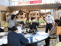 ゾウの標本が飾られている部屋でワークショップが開催されている様子の写真