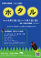 自然観察会「夜のホタル散歩」のチラシ