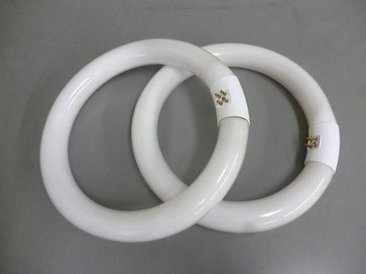 丸い形の蛍光管が写っている写真