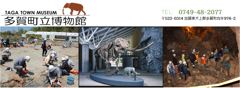 多賀町立博物館