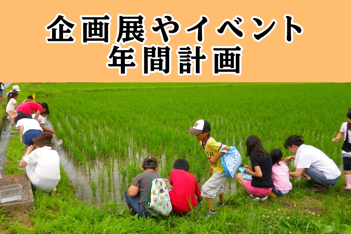多賀町立博物館の企画展やイベント年間計画へのリンク