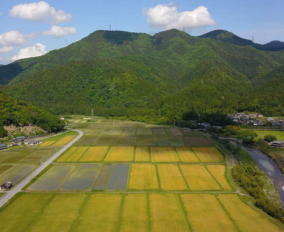 滋賀県犬上郡多賀町の豊かな自然と田園風景画像