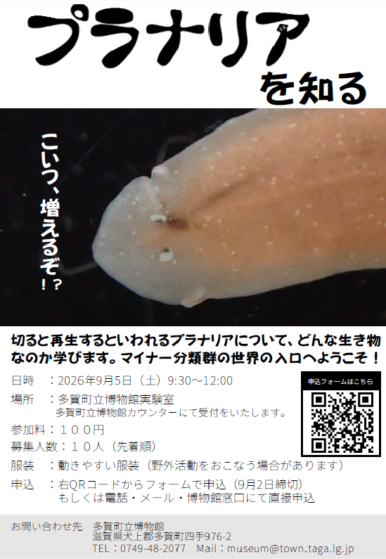 「プラナリアを知る」講座の案内