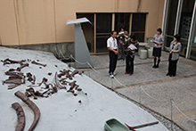 サンクスガーデン