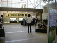 室内に模型やガラスのショーケースなどが設置された展示風景の写真