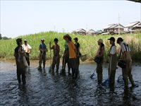 川の浅瀬で胴長を着た参加者たちが並んで水生生物を観察している写真