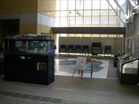 ホワイトボードやガラスのショーケースが複数設置されている展示風景の写真