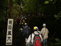 森の遊歩道で参加者たちが看板の前を列になって歩いている写真