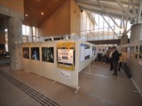 室内に複数のホワイトボードが並べられ様々な写真が貼られている展示風景の写真