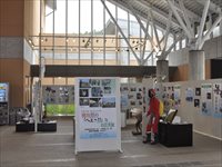 室内にホワイトボードが複数並べられ資料などがたくさん貼られている様子の写真