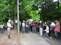 山道の分岐点で参加者たちが説明を聞きながら立ち止まっている写真