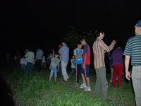 夜の草地で参加者たちが列になって昆虫を観察している写真