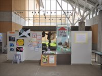 様々な資料が貼り付けられたホワイトボードやパネルが設置されている展示風景の写真