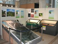 様々な作品が貼り付けられたホワイトボードやガラスのショーケースが設置された展示風景の写真