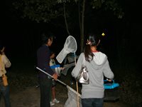 夜の森で参加者が捕虫網を持って生き物を探している写真