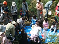 屋外で子供と大人がブルーシートを囲んで採集した生き物を観察している写真