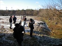 川辺で参加者たちが双眼鏡や三脚を使って野鳥を観察している写真