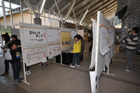 ホワイトボード上に様々な自由研究が展示されている様子の写真