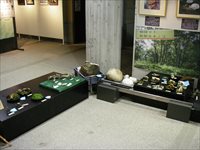 室内の床に背の低い机が置かれその上にきのこの立体作品が展示してある写真