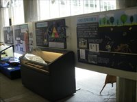 ガラス張りのショーケースやホワイトボードに多賀のワニ化石についての展示物が飾られている様子の写真