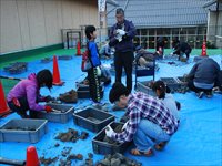 屋外のシートを敷いた作業会場で児童や大人たちが一緒に資料や道具を確認している写真