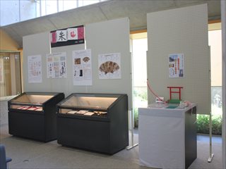 パネルやケースを使って地域資料や作品を紹介している展示の様子の写真