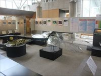 標本や資料をケースに入れて紹介している展示コーナーの様子の写真