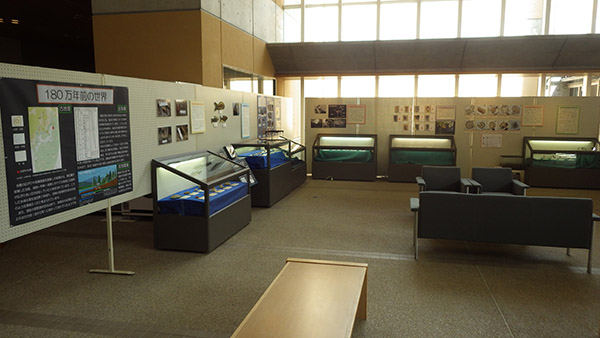 展示会場で展示ケースが並ぶ企画展示室全体を写した写真