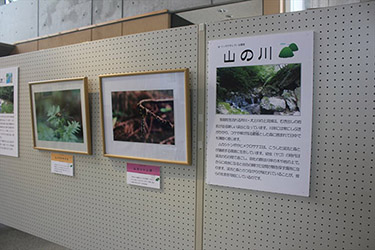展示会場で自然写真の解説パネルが並ぶ展示壁の写真
