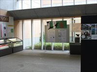 ガラス張りの壁から光が差し込むホールの写真