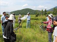 草地で参加者たちが植物を観察しながら説明を受けている写真
