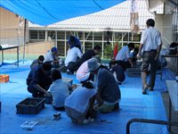 テントの下で子供たちが地面に座って粘土の塊から化石を探している様子の写真