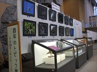 壁に額縁に入った写真が飾られ、ショーケースにも展示品が飾られている写真