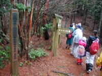 山道の入口で児童と保護者が列になって歩いている様子の写真