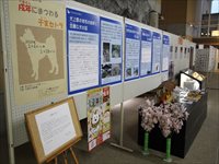 壁にいぬのイラストと青いポスターが6枚貼られている写真