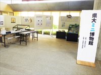 県大ミニ博物館と書かれた入口に置かれたパネルと室内に置かれた展示品の写真